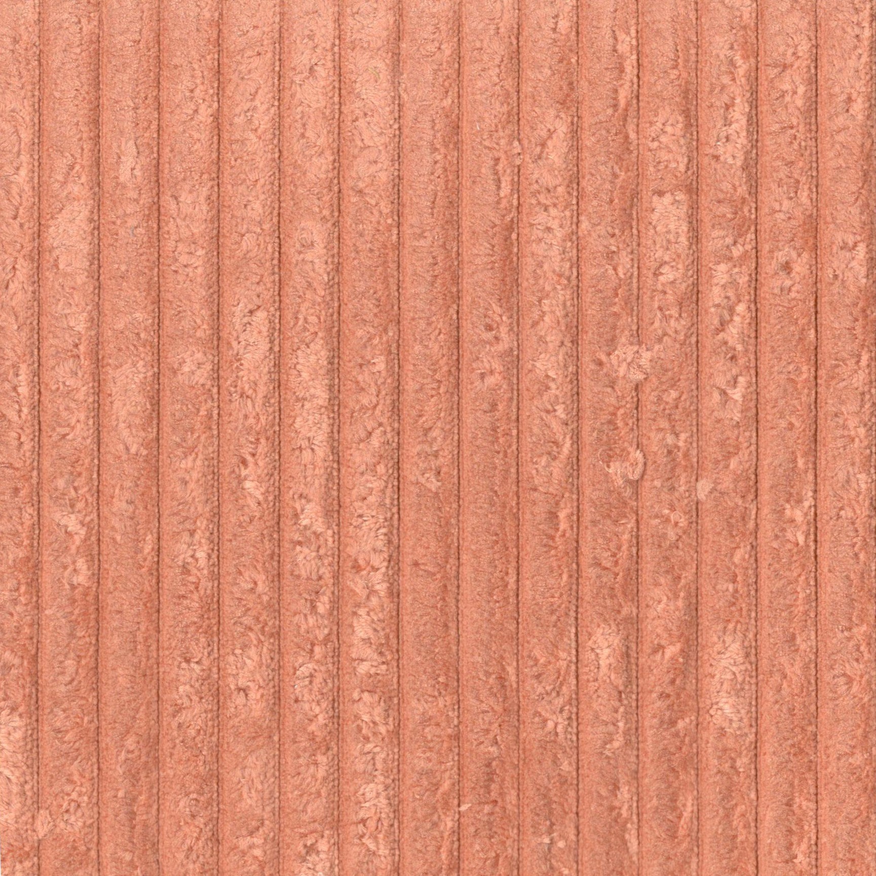 Montana apricot Doprodej 