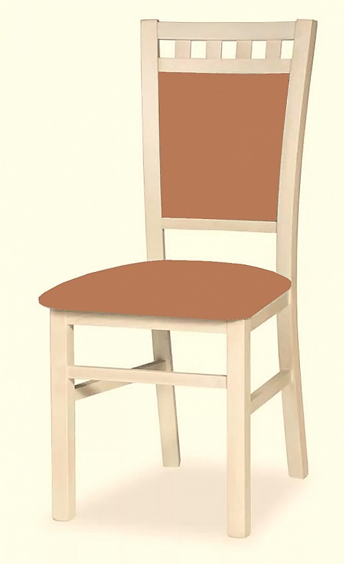 Jídelní židle DANIEL 1  <span class="discount"><span style="color: red;"> SLEVA 35%</span></span>